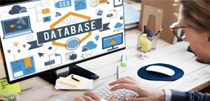 Database Management Services